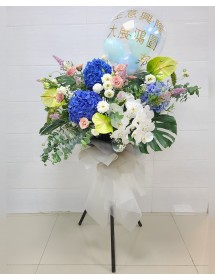 繡球花 x 蝴蝶蘭開幕花籃